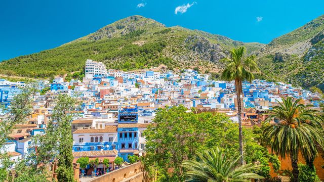 De blauw-witte huizen van Chefchaouen tegen de groene Rifbergen, met palmbomen op de voorgrond
