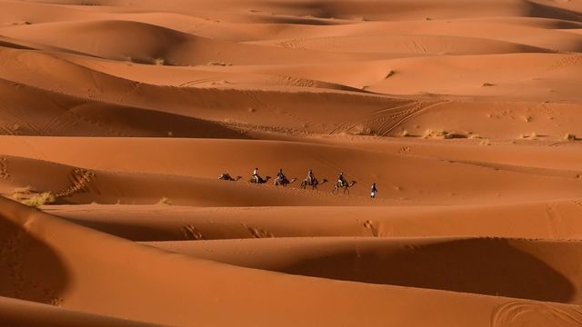 Een kameelkaravaan trekt door de oranje zandduinen van Erg Chebbi bij Merzouga
