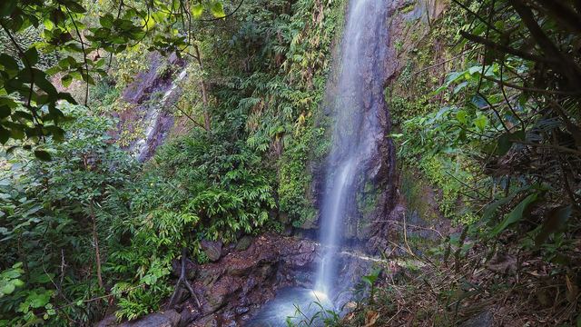 Een waterval tussen dicht groen in het nevelwoud van Santa Elena, Monteverde