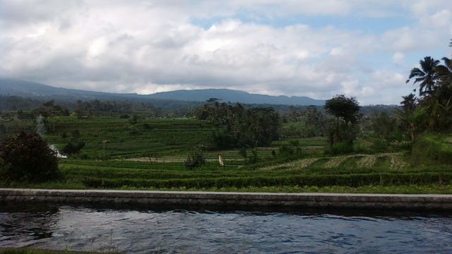 Groene rijstterrassen in de vallei van Sidemen op Bali