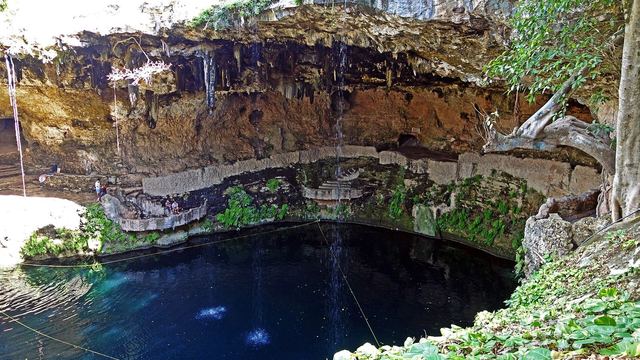 Helder water in een cenote bij Valladolid