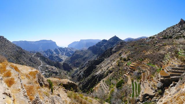 Green terraced fields on the mountain slopes of Jebel Akhdar