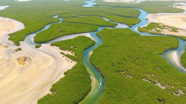 Kronkelende kreken en mangroves in de Sine Saloum delta vanuit de lucht