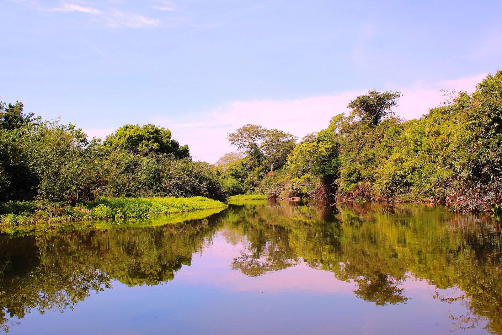 Een rivier met weerspiegeling van bomen in de Pantanal
