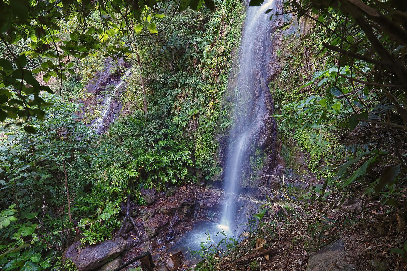 Een waterval tussen dicht groen in het nevelwoud van Santa Elena, Monteverde