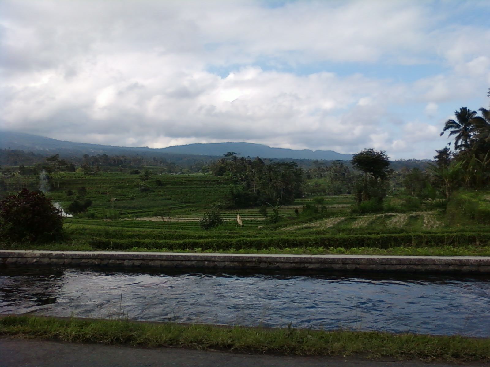 Groene rijstterrassen in de vallei van Sidemen op Bali