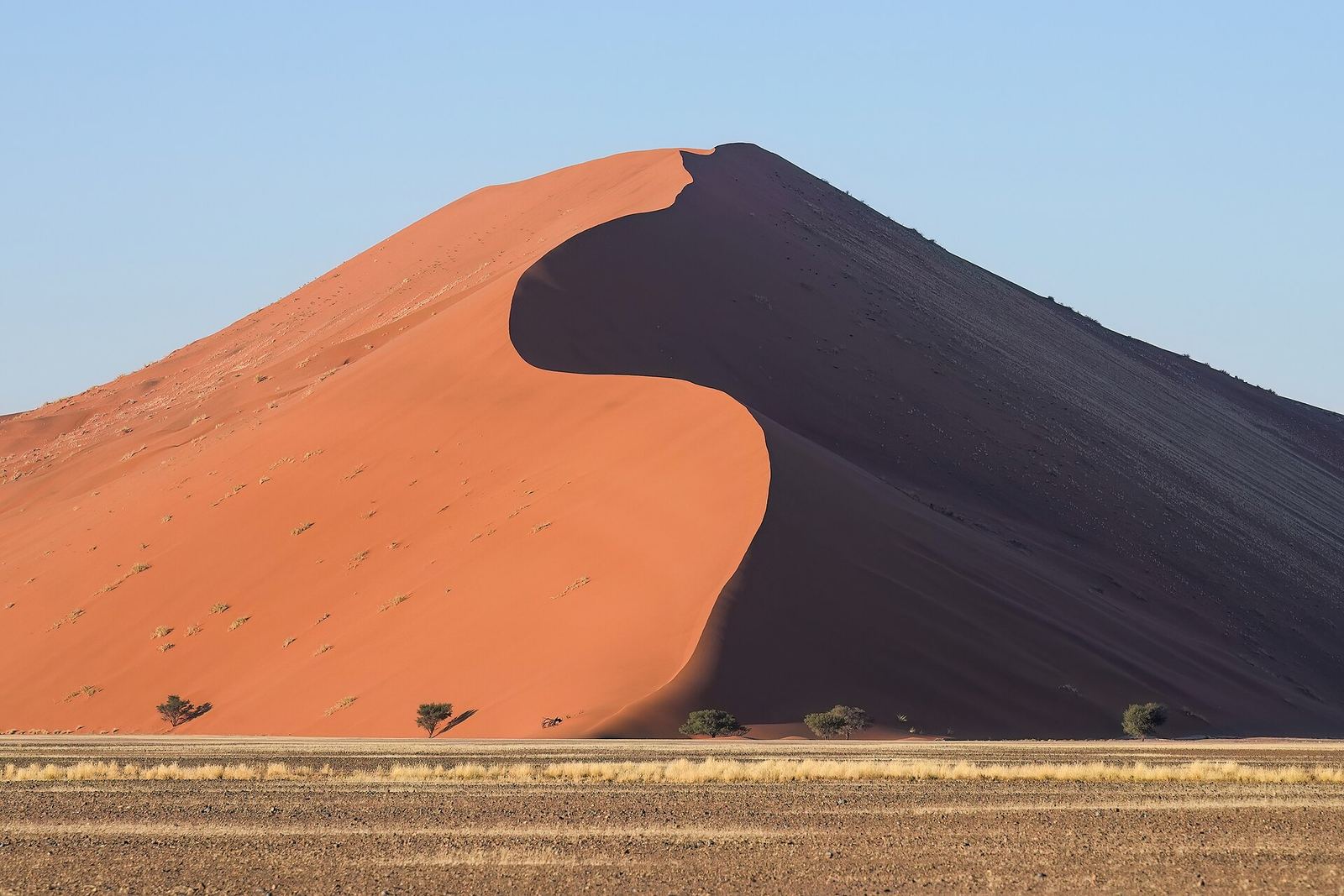 Red sand dunes of Sossusvlei in the Namib desert