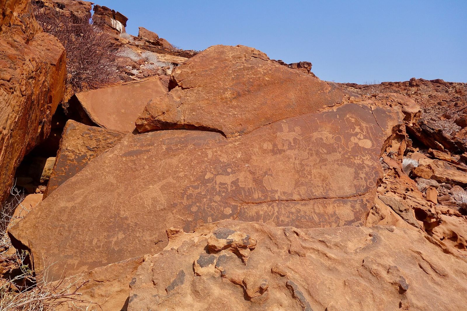 Prehistoric rock engravings on the red rocks of Twyfelfontein