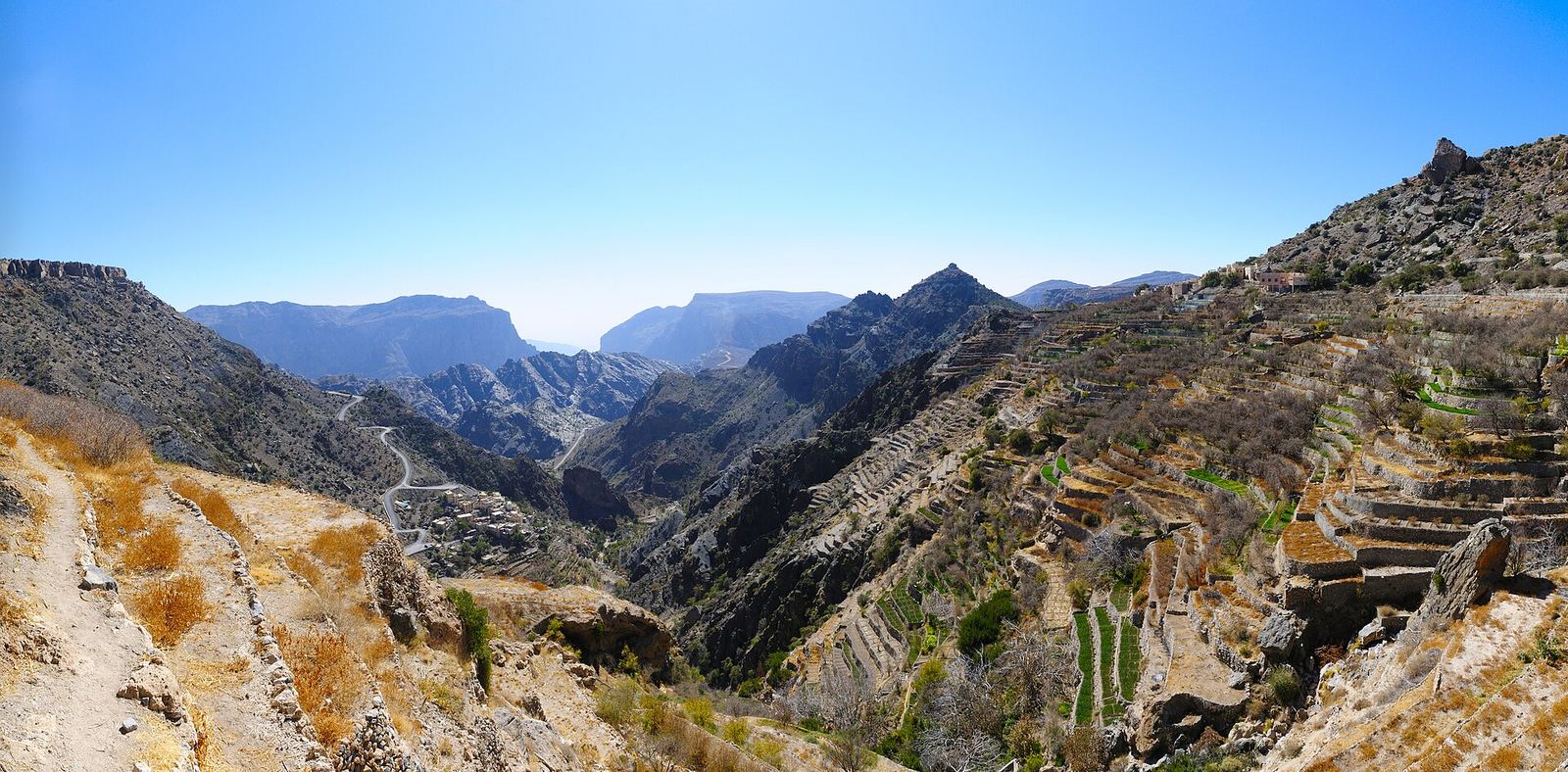Green terraced fields on the mountain slopes of Jebel Akhdar